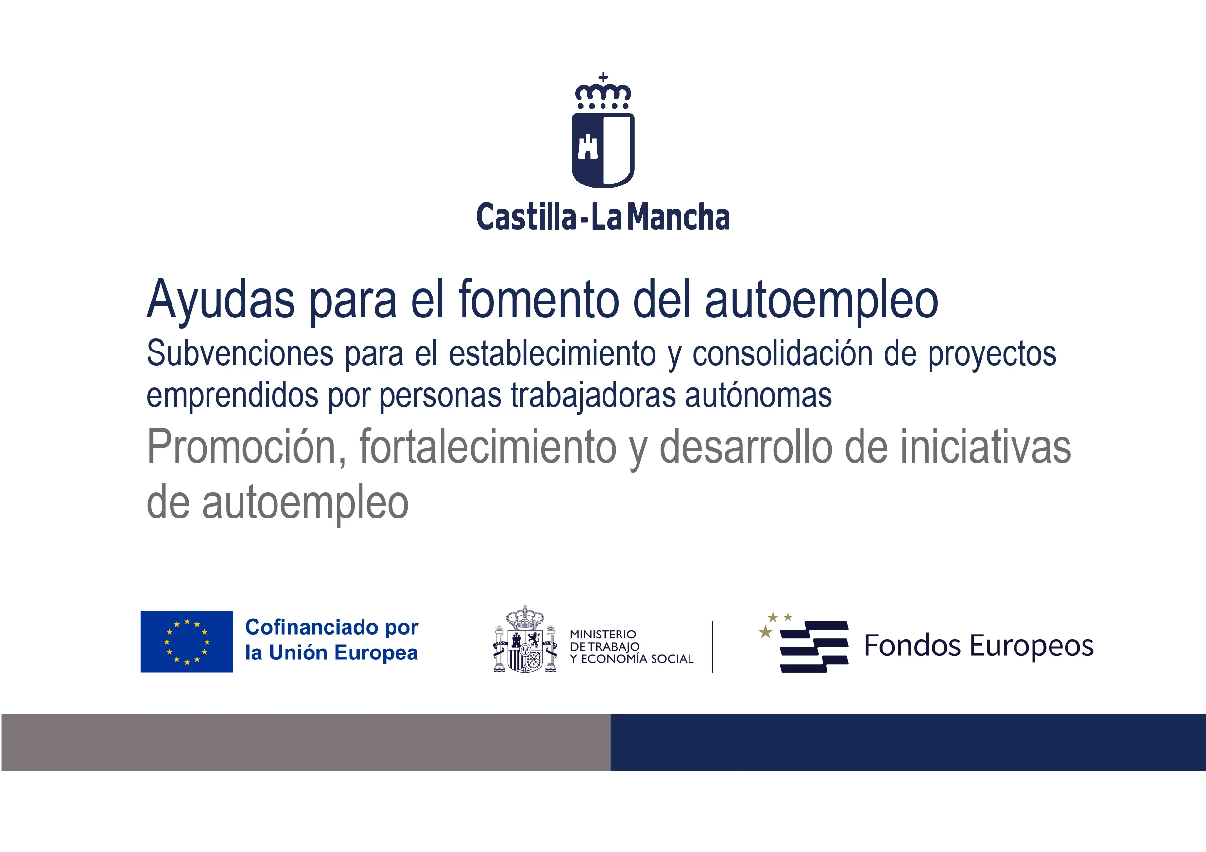Grant for the promotion of self-employment — subsidy from the Government of Castilla-La Mancha, co-financed by the European Union and the Ministry of Labour and Social Economy (European Funds)